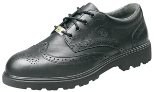 CORNELL ESD | O2 / BROOKLYN ESD | S2 / STANFORD ESD | S3